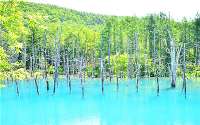 Blue Pond, Hokkaido, Nhật Bàn
