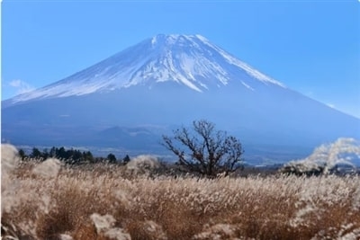 Ba mươi địa điểm tuyệt vời nhất để ngắm cảnh Núi Phú Sĩ, Nhật Bản